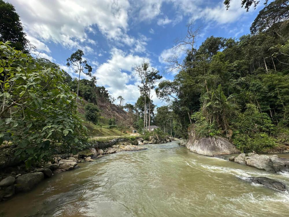 Tanah Chik | Escabee.com