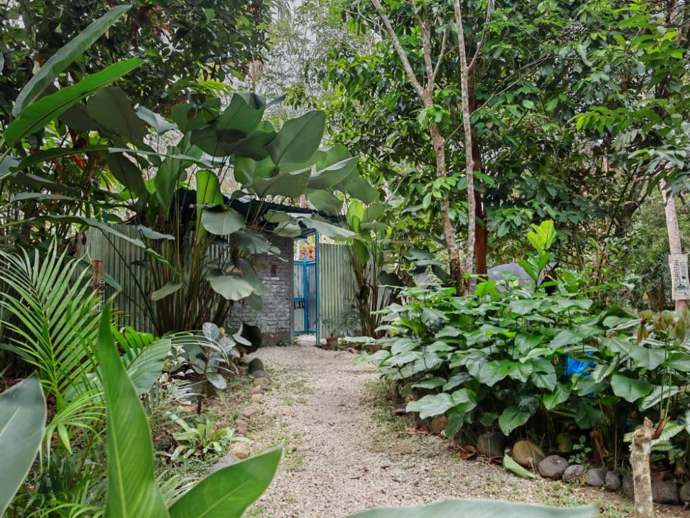 Santai Dusun Campsite | Escabee.com