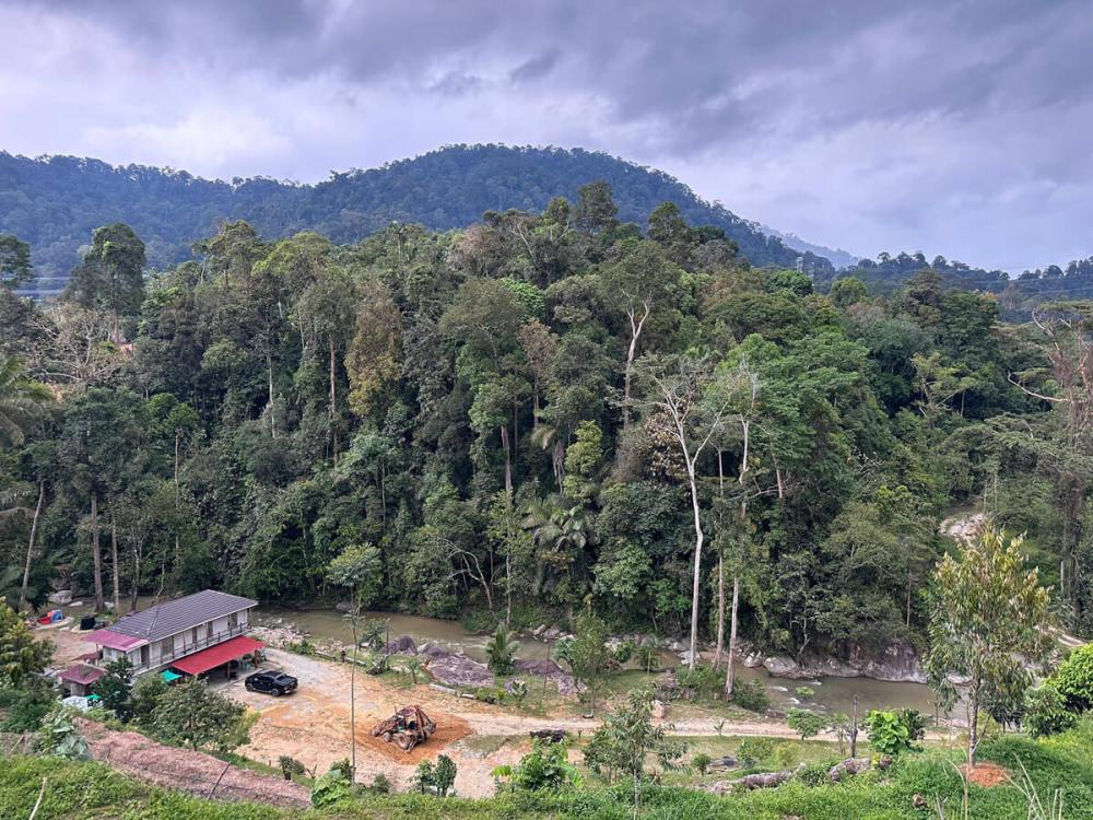 Tanah Chik | Escabee.com