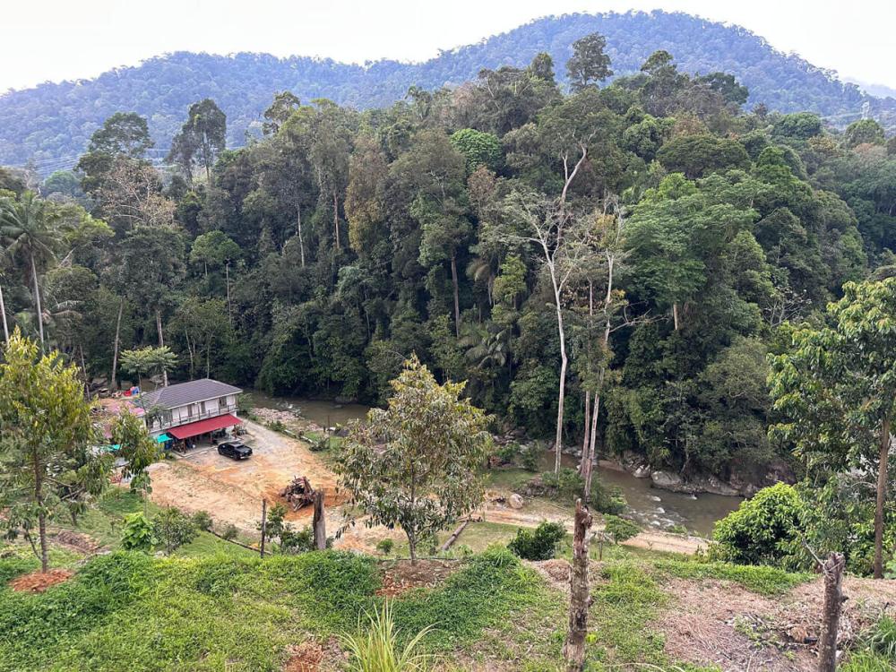 Tanah Chik | Escabee.com