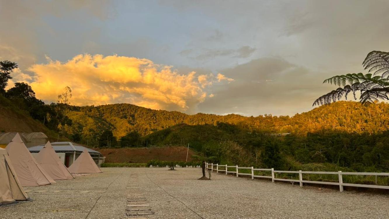 Treegrow Campsite | Escabee.com