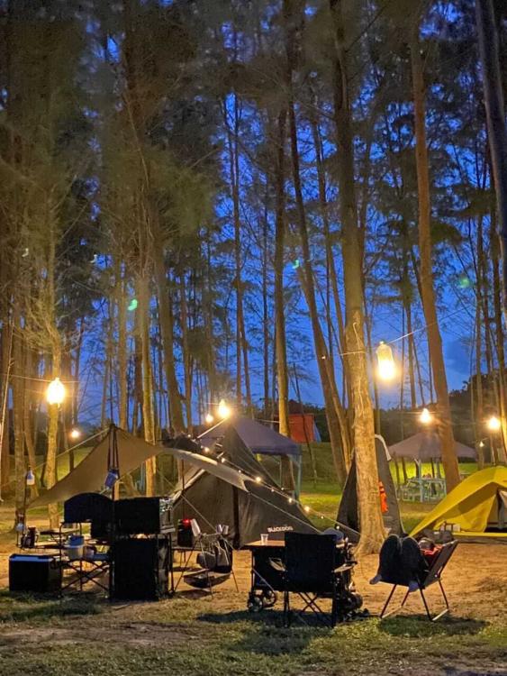 Tiger Base Camp | Escabee.com