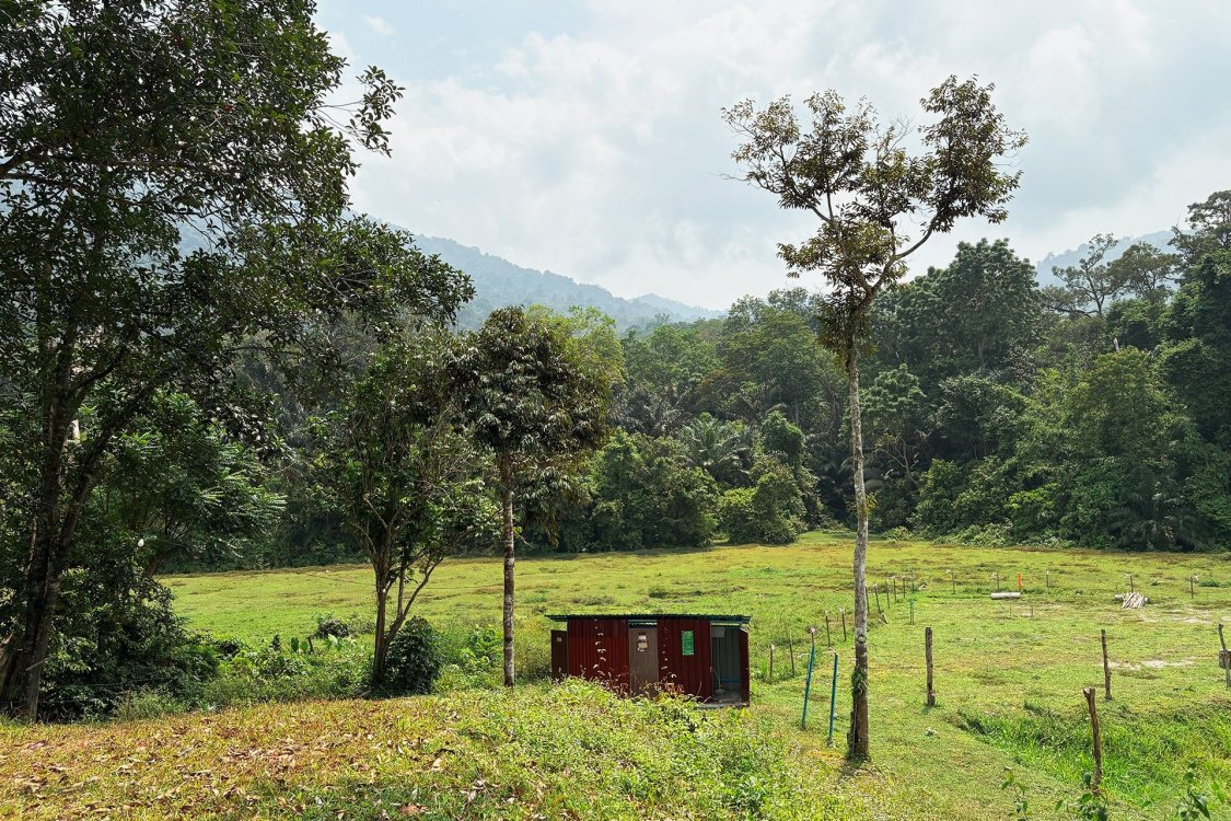 Last Post D'Rimba Campsite & Kafe | Escabee.com