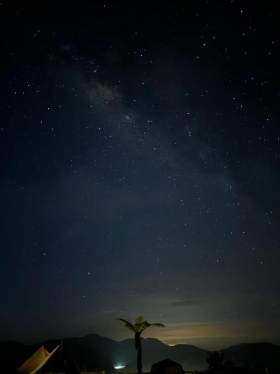 Treegrow Campsite | Escabee.com