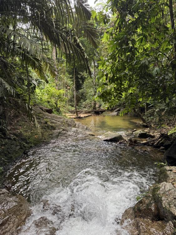 Hijauan Damai Campsite | Escabee.com