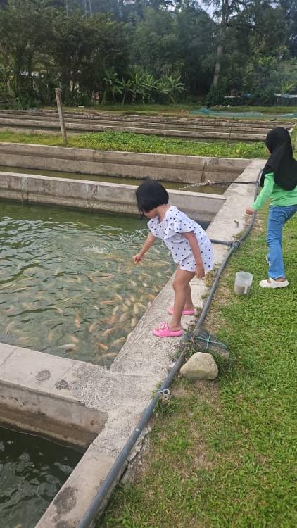 Fishing Village Campsites | Escabee.com