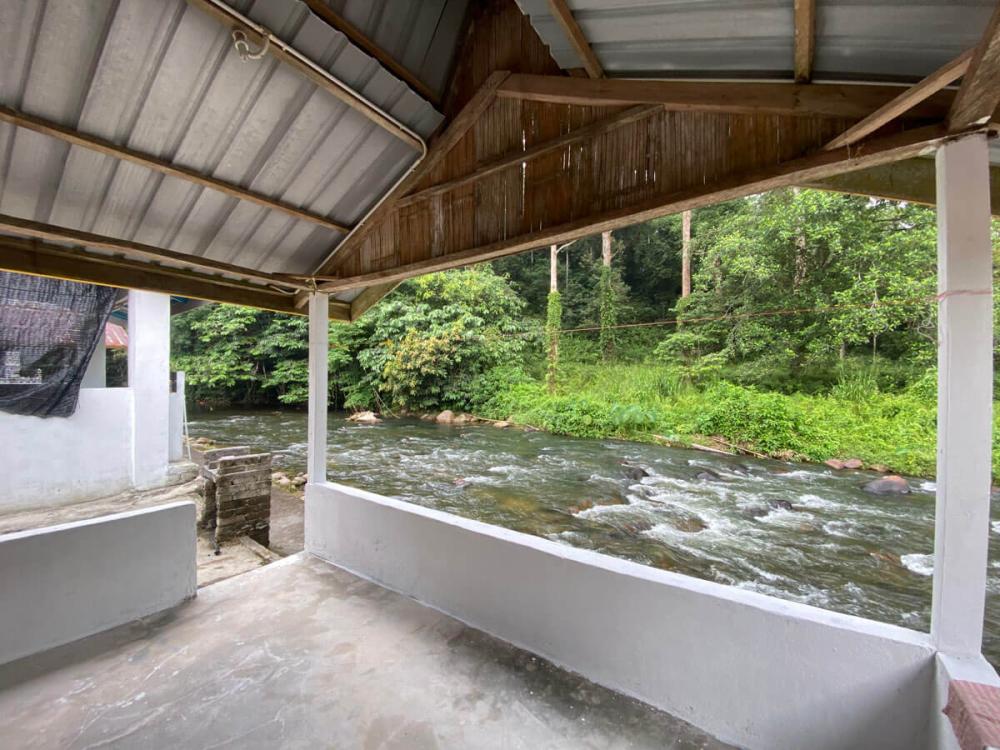 Bamboo Camp | Escabee.com