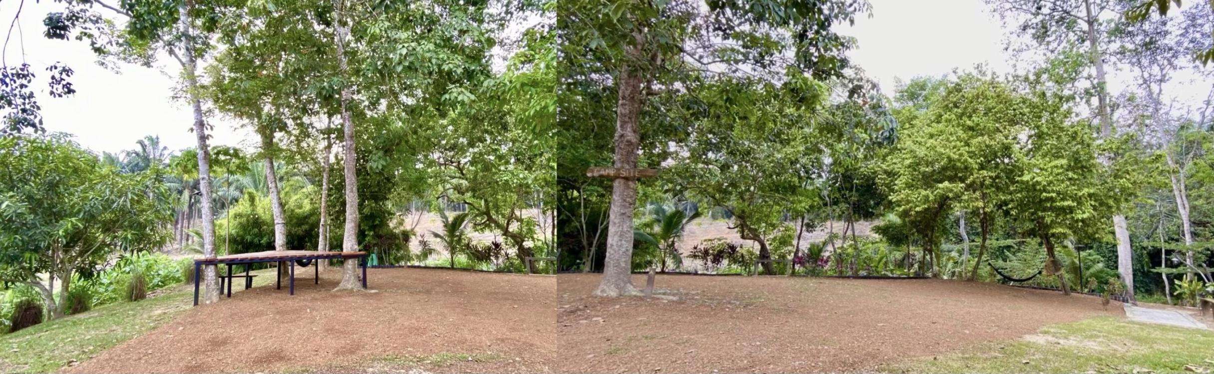 Laman Eden Campsite Kepis | Escabee.com