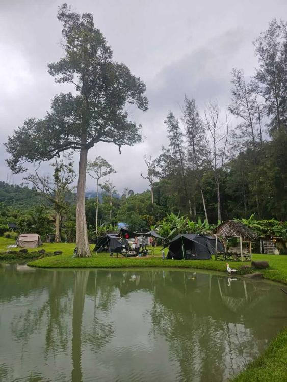 SIR Camping Site | Escabee.com