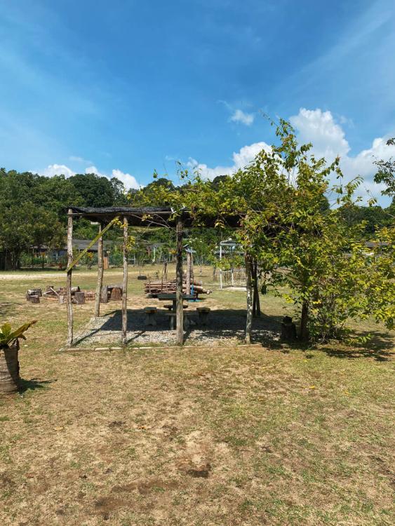 Seaside Campsite Cherating | Escabee.com