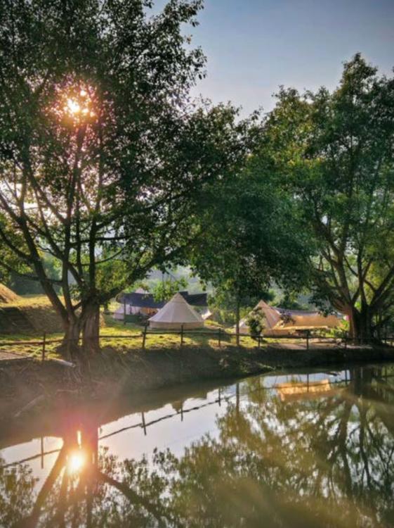 The Survivor Camp And Glamp | Escabee.com