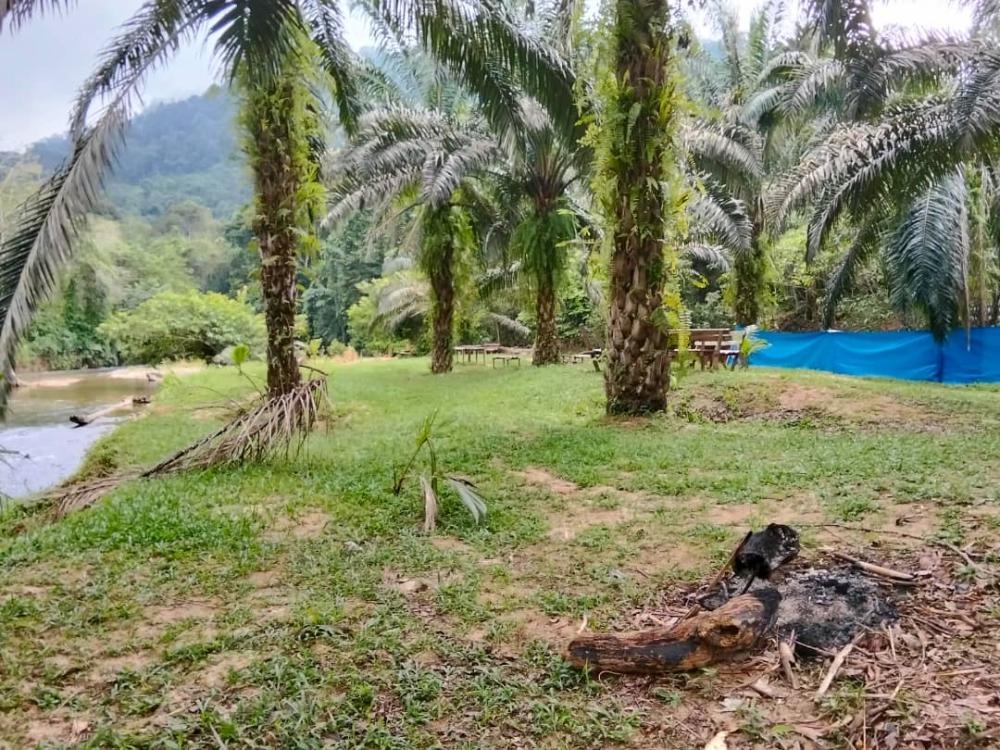 Jahut Campsite | Escabee.com