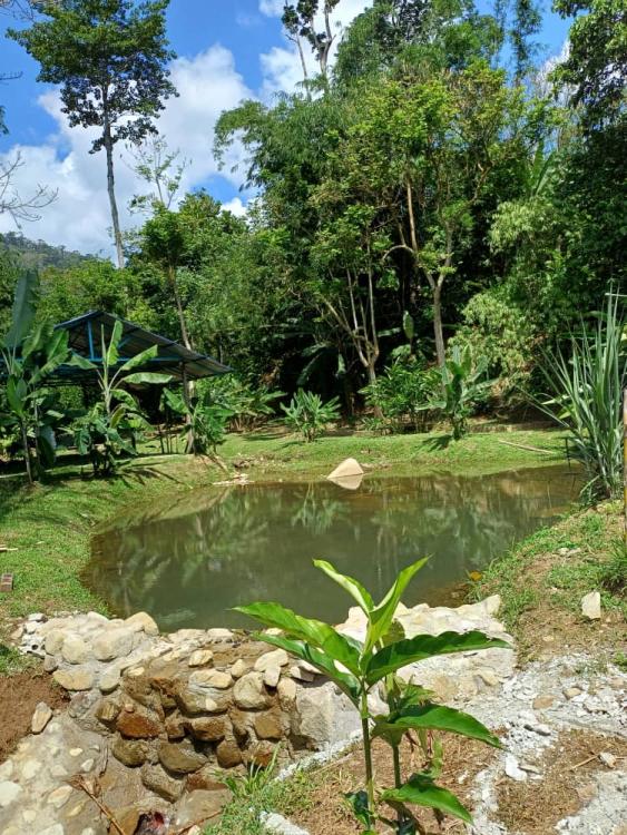 Lemuni Janda Baik Campsite | Escabee.com