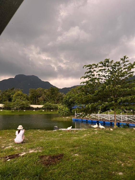De Sunny Farm and Resort | Escabee.com