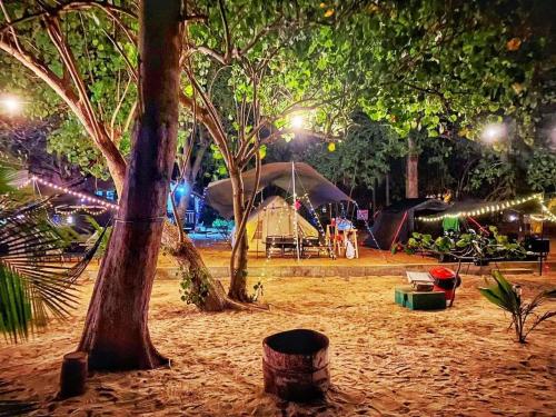 Aliyya Beachfront Campsite