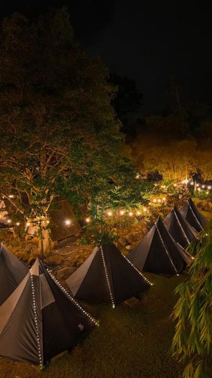 Skycamp Services | Escabee.com