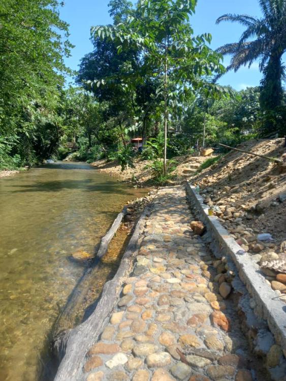 Intan Puteri Eco Farm | Escabee.com