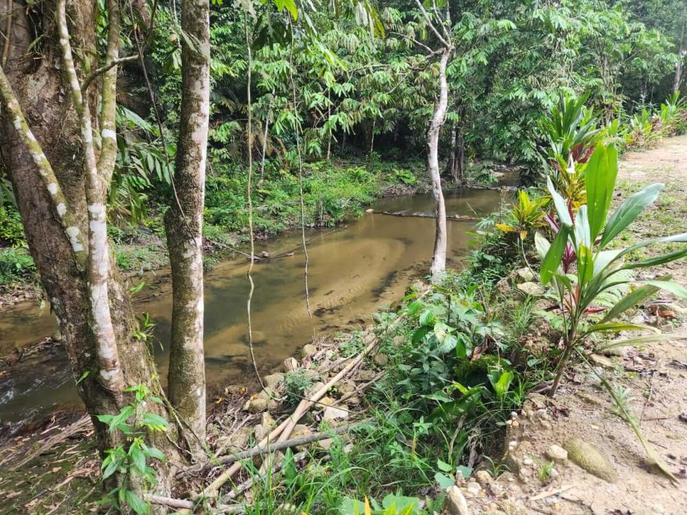 Langat Heritage 13 ( Herlang 13) Campground | Escabee.com
