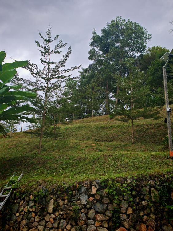 Camp RED @ Berjaya Hills | Escabee.com
