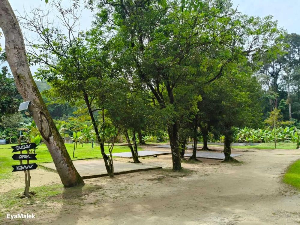 Dusun Apak Kawww | Escabee.com