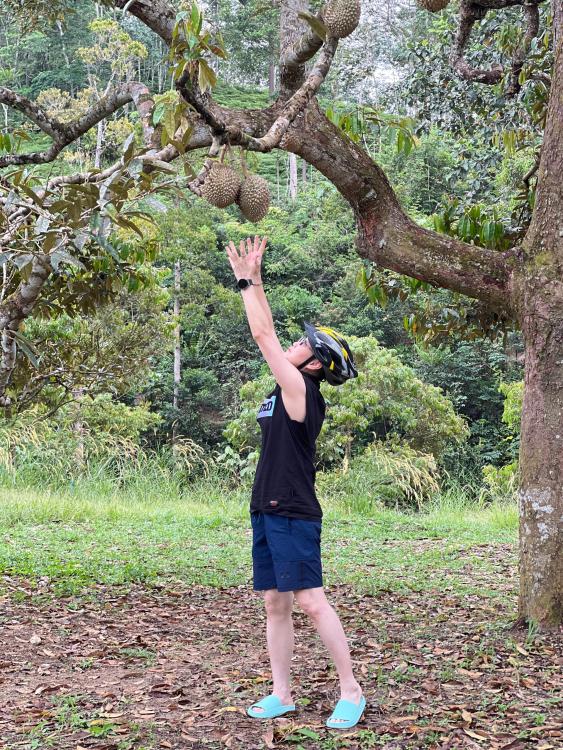 Camp Mantap | Escabee.com