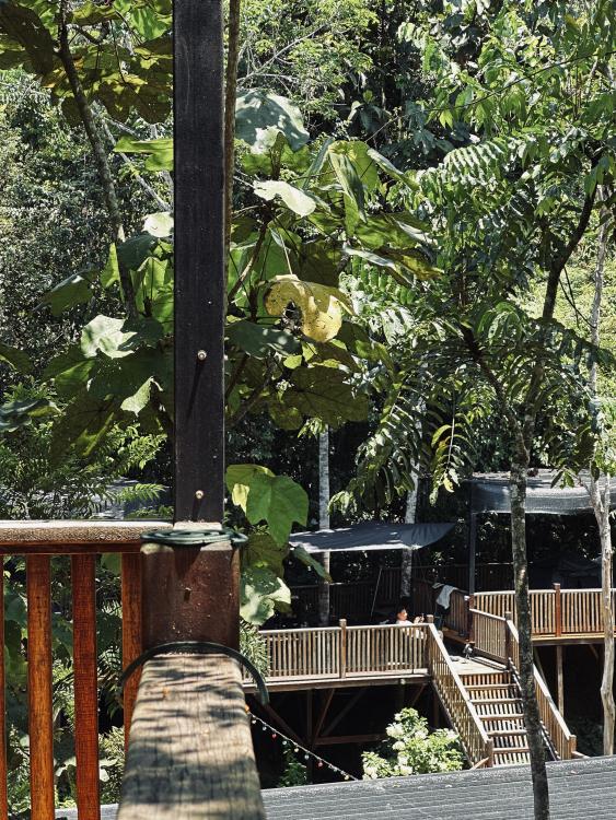 Rasa Hill | Escabee.com
