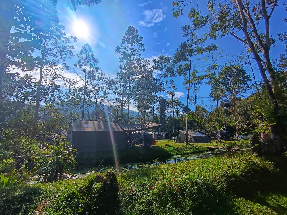 Masha And The Bear Garden & Campsite, Ulu Sepri | Escabee.com