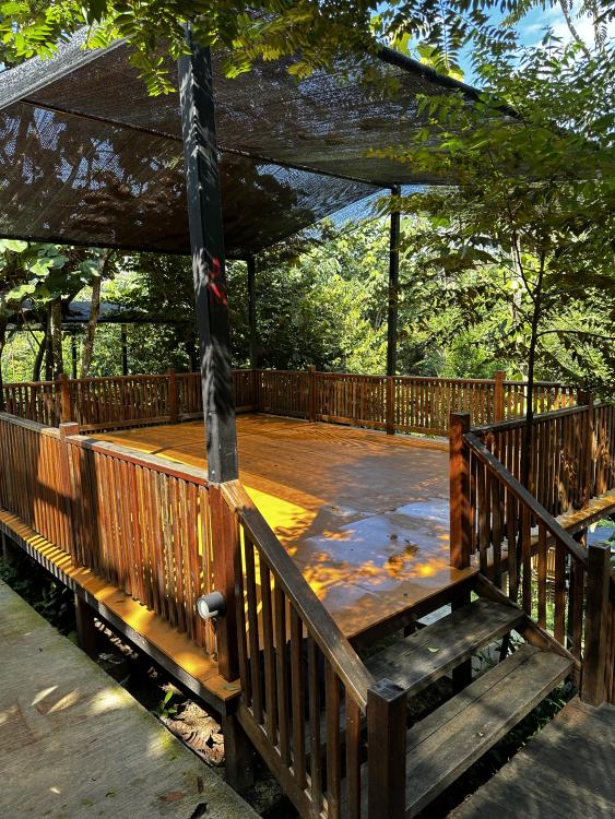 Rasa Hill | Escabee.com