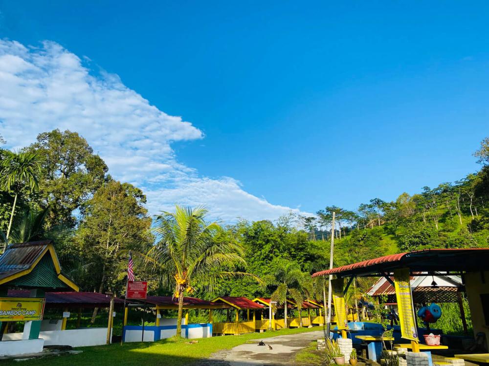 Bamboo Camp | Escabee.com