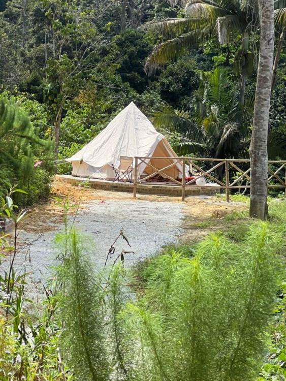 Jerai Nature Glamping | Escabee.com