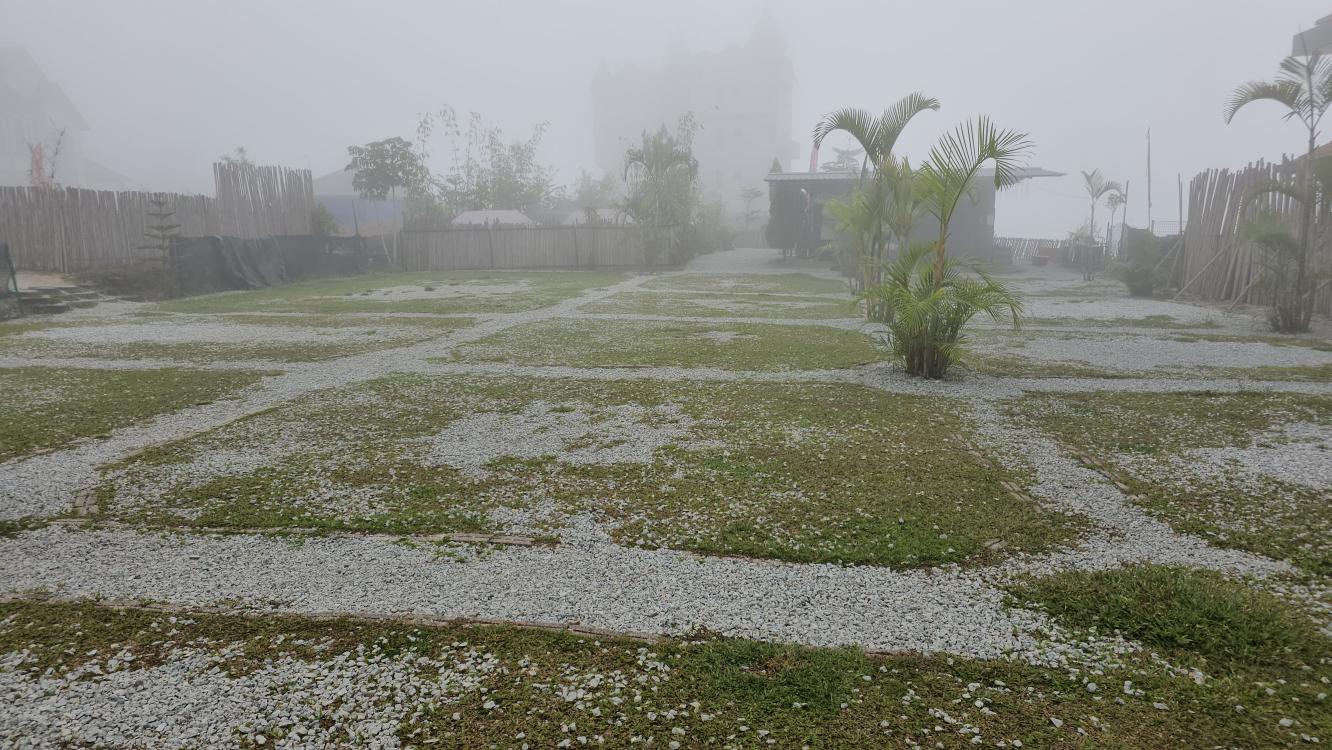 The Bayu Golden Hills | Escabee.com