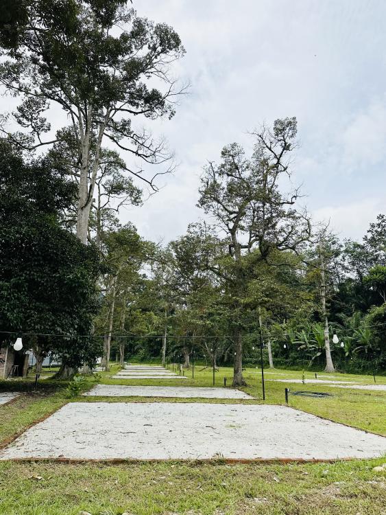 Sg Bil Garden Campsite | Escabee.com