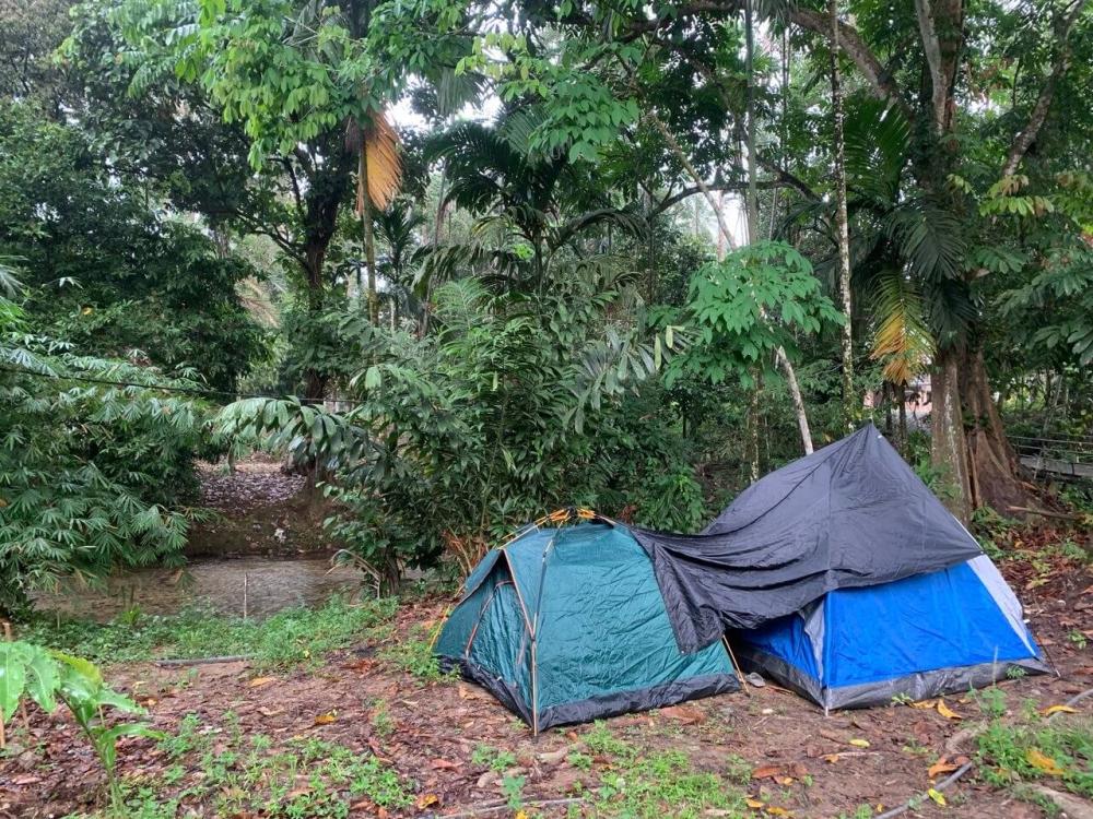 Rimba Jelai Cabin & Wild Camping | Escabee.com