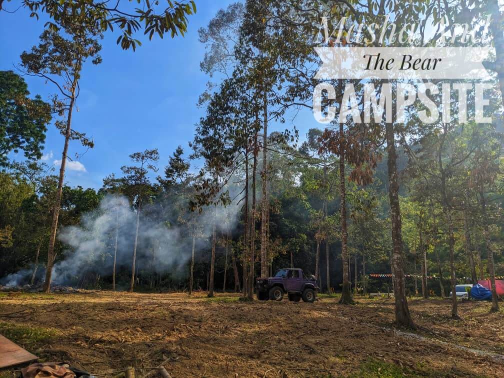 Masha And The Bear Garden & Campsite | Escabee