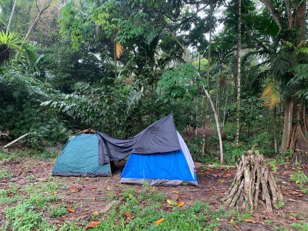 Rimba Jelai Cabin & Wild Camping | Escabee.com