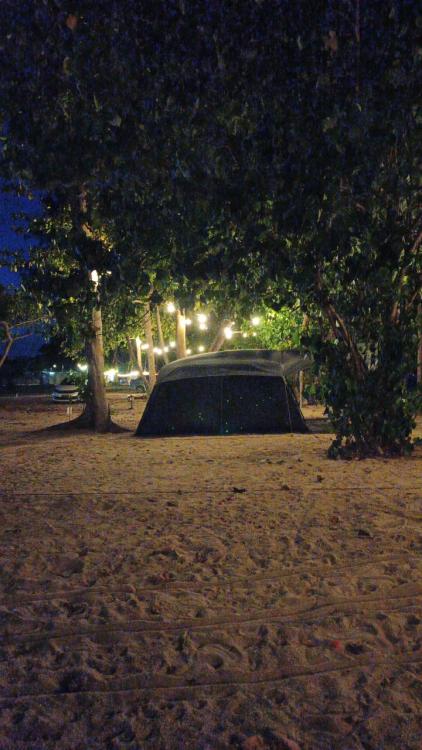 Ali Camp | Escabee.com