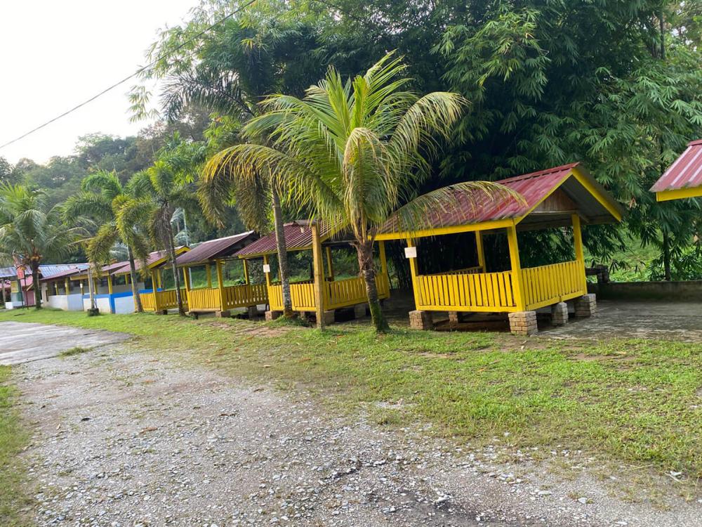 Bamboo Camp | Escabee.com