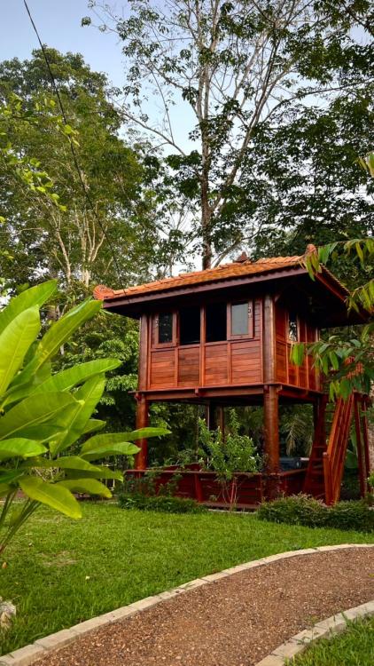Laman Eden Campsite Kepis | Escabee.com