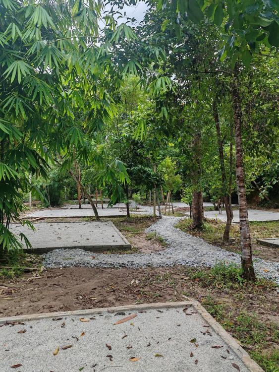 Lost Village | Escabee.com
