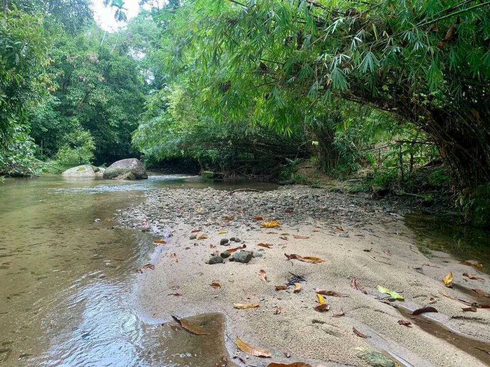 Rimba Jelai Cabin & Wild Camping | Escabee.com