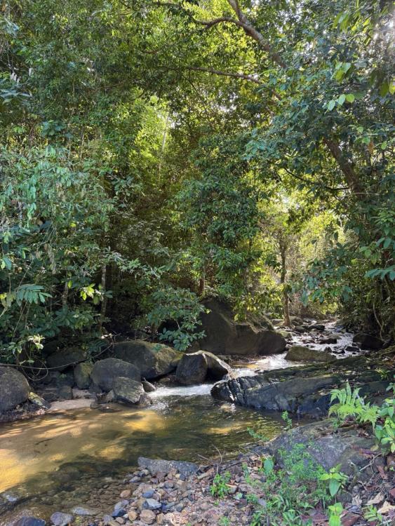 Hijauan Damai Campsite | Escabee.com
