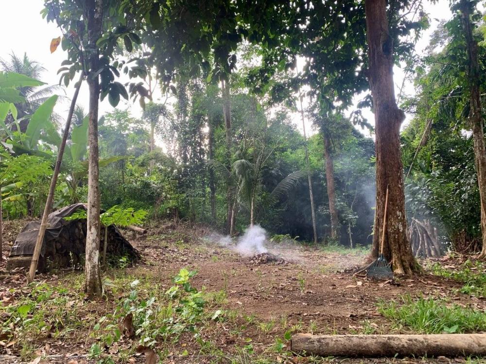 Rimba Jelai Cabin & Wild Camping | Escabee.com