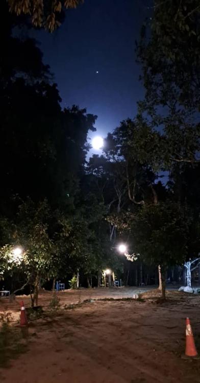 Tok Bak Campsite | Escabee.com