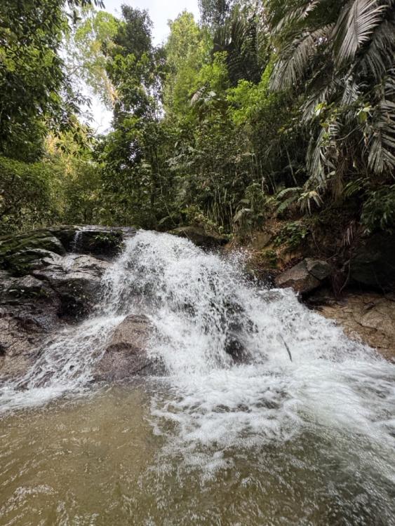 Hijauan Damai Campsite | Escabee.com