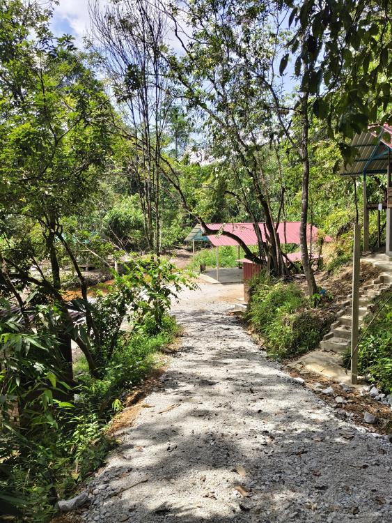 Lost Village | Escabee.com