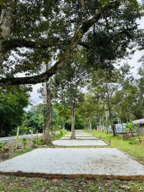 Sg Bil Garden Campsite