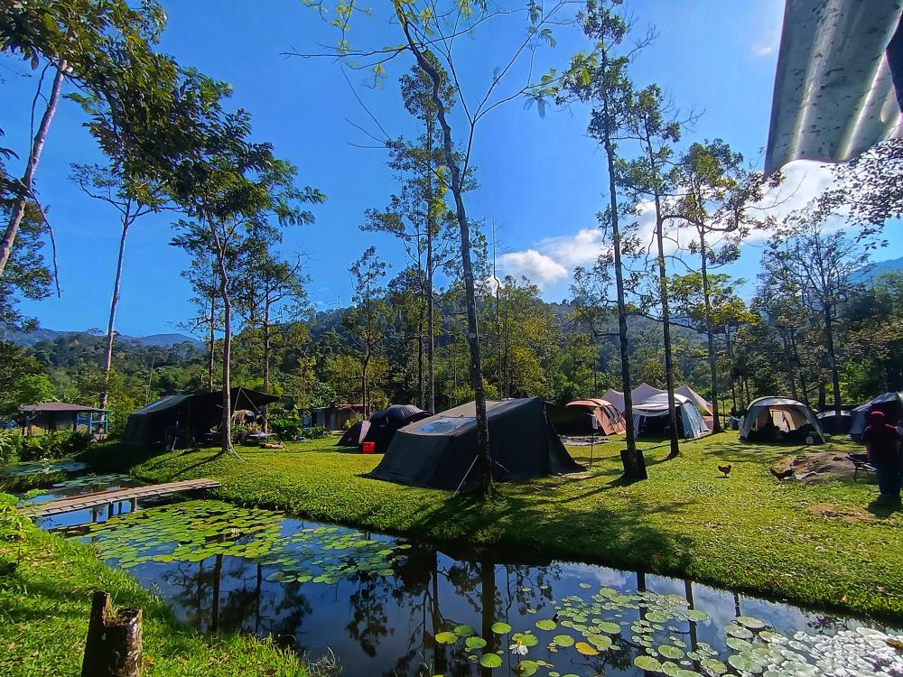 Masha And The Bear Garden & Campsite, Ulu Sepri | Escabee.com