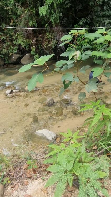 Port Rahsia Campsite | Escabee.com