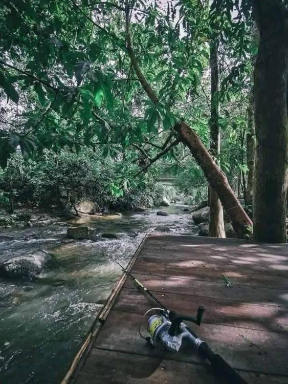 Jerumun Campsite | Escabee.com