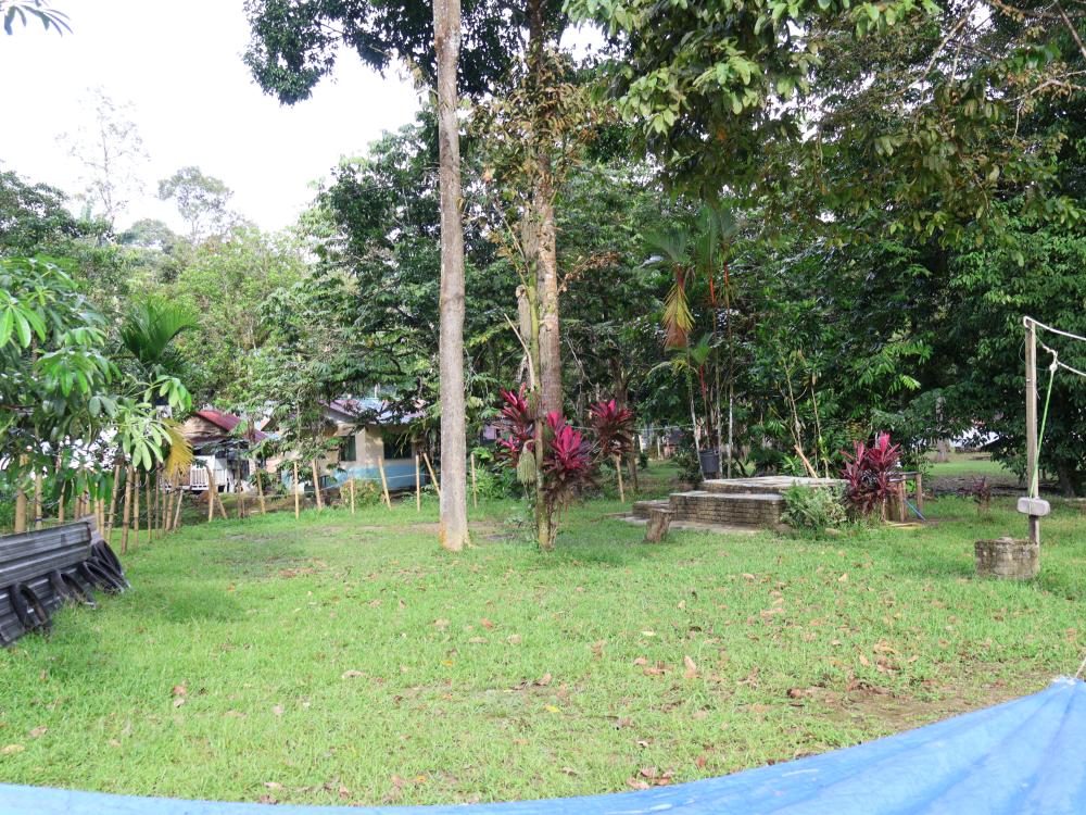 Ecotouria Sungai Congkak | Escabee.com